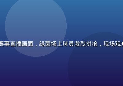 ky体育平台足球赛事直播画面，绿茵场上球员激烈拼抢，现场观众热情高涨气氛火爆